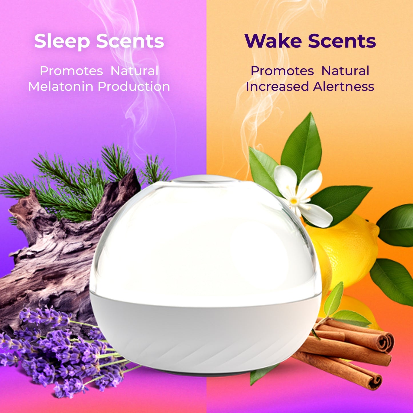 Soluna Base Station (Pre-Order Reservation)